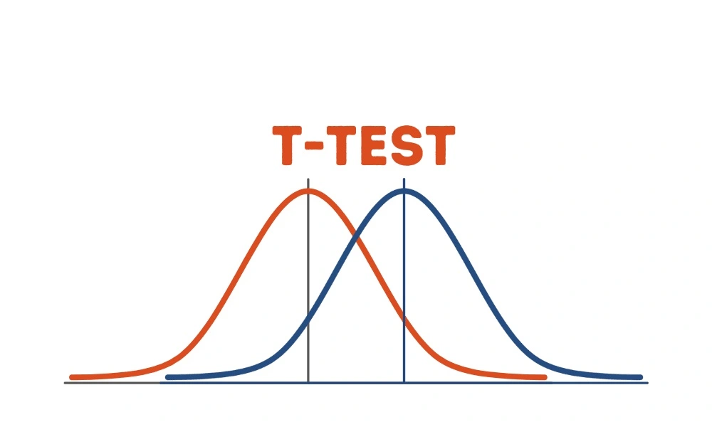 How to Perform One Sample T Test in R?