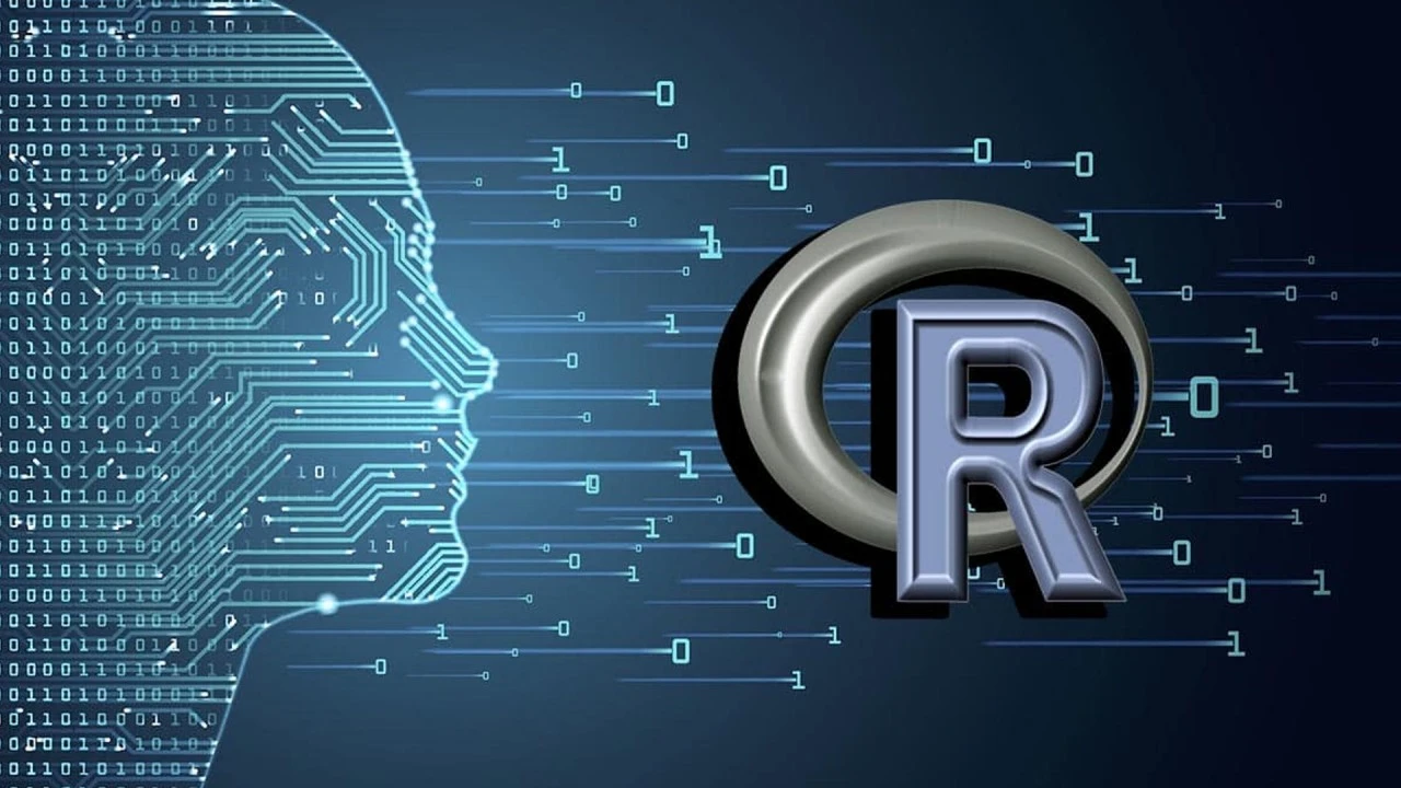 What is R Programming in Data Science